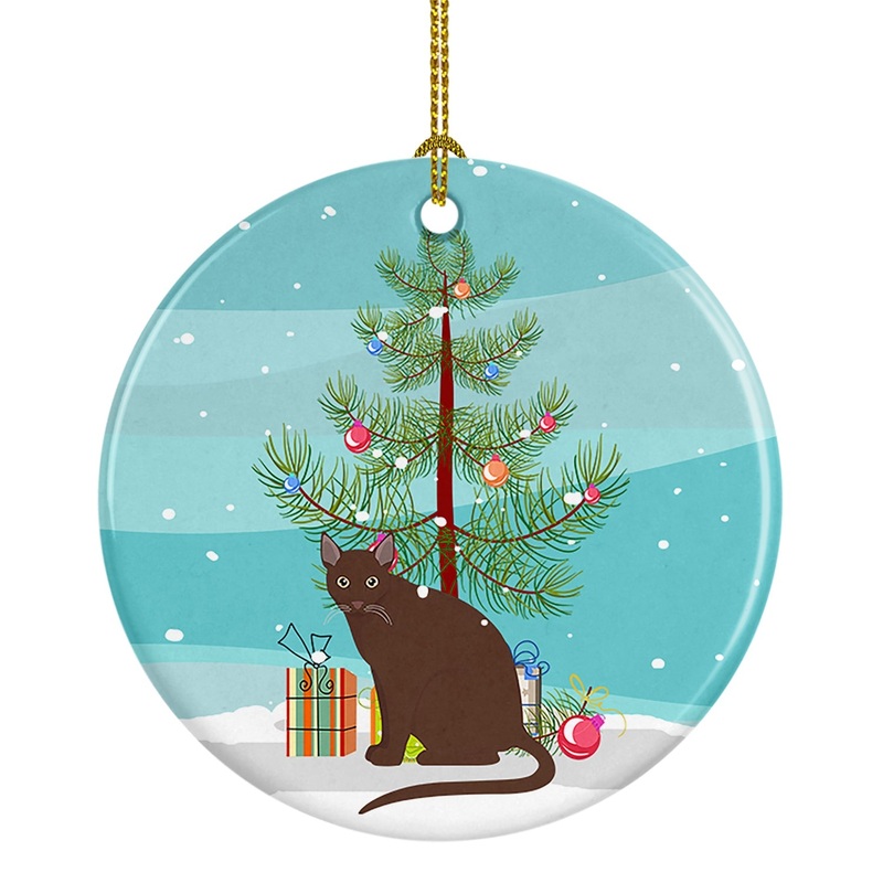 Raas Cat Merry Christmas Ornament - Round Ceramic Ornament  Artist-Designed Keepsake Decoration