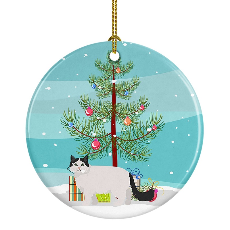 Ragamuffin #1 Cat Merry Christmas Ornament - Round Ceramic Ornament  Artist-Designed Keepsake Decoration