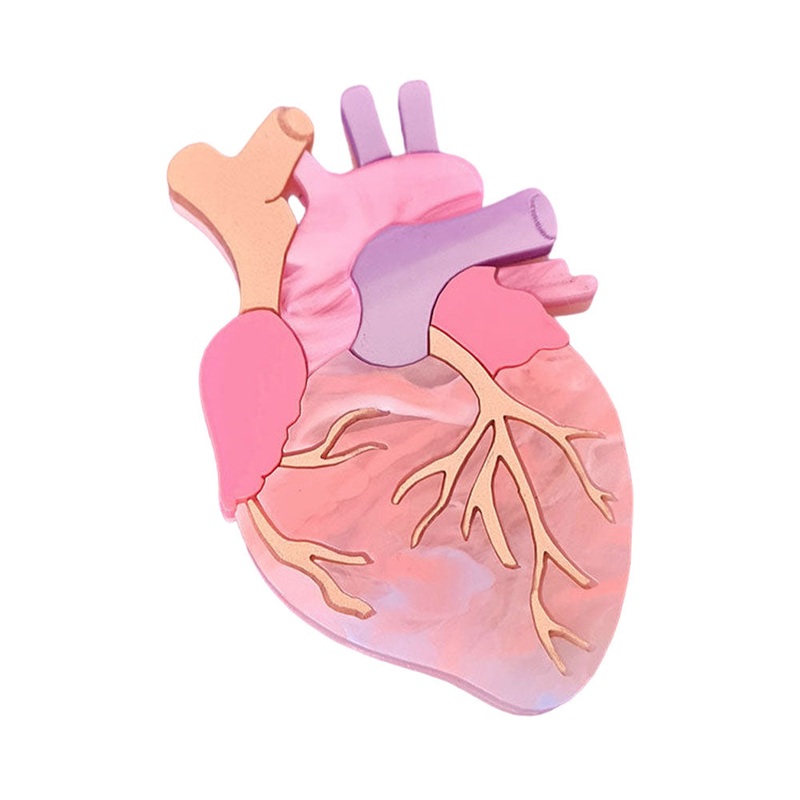 Pastel Anatomical Heart Brooch by Cherryloco