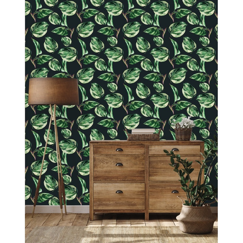 Ficus Wallpaper